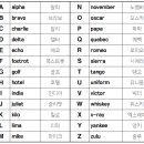 알파 P&D 이미지