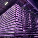 건너농장 이미지