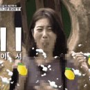 망고투어 - 북구 하서로672번길 18-10 | 망고투어