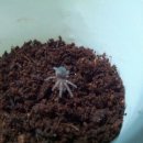 성철농장 이미지