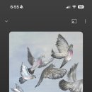 지오레스토랑