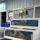 방파제7호횟집 | 울진 죽변항 맛집 방파제 7호 횟집, 너무 만족했던 저녁