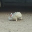 솔섬민박 이미지