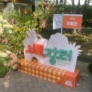 농수산물장터 | 산지직송 서울시직거래장터 2026 서로장터 / 국제정원박람회 서로장터 방문 후기