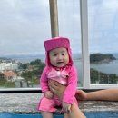 채석강리조트 이미지