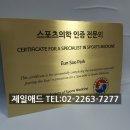 스포츠win