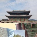 예비 독거 노인의 생존 연습1.(경복궁 구경하기) 이미지