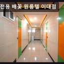 배꽃원룸텔