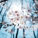 하범곡마을 이미지