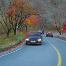 중부-현장-중부-288 | 연비짱 재미갑! 골프 타고 다녀온 단양 여행 당일코스, 보발재 · 도담삼봉 · 만천하스카이워크