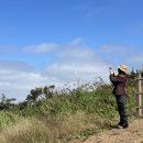 돈키호테 발전소 이미지