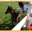 원당목장 이미지