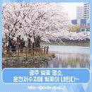 광주 벚꽃 명소, 운천저수지에 벚꽃이 내린다 프로파일 dodreamgj ・ 2019. 4. 3. 11:06 봄기운이 만연하는 요즘! 광주에도 봄이 찾아왔습니다! 이미지