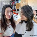 뉴질랜드 한국전 참 이미지