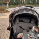 크린팡팡 이미지