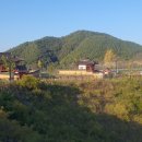 춘정한옥