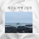 코시롱화덕피자 | 제주도 여행 2일차 비오는 날 남부 짧고 굵게 돌기