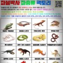 파블박사 이미지