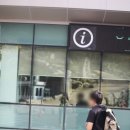 경산종합관광안내소 이미지