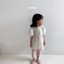 위디 이미지