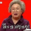 게코스토리