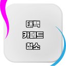 태백시 근처 카페트 청소 세탁 추천 전문업체 잘하는곳 이케아 케어 건식 습식 비용 후기