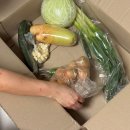 산의천 | 식명관 천원의 행복 7가지 채소 야채 만원에 산 후기