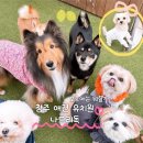 나드리독 이미지