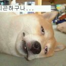 신라축산약품 이미지