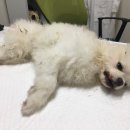 카페 태도 이미지