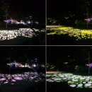 평택항만길 이미지