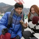 코레일관광개발 스포츠조선