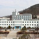 열린동물종합병원 이미지
