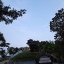 보적사 | 오산 부처님오신날 가보기 좋은 세마대지 보적사