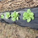 건우 농장 이미지