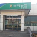 [굴삭기렌탈] 당진&amp;예산 굴삭기렌탈 믿고쓰는 굴삭기세상