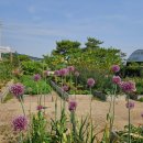 김선자 농장 이미지