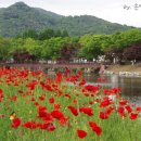 왜 사느냐고 어떻게 살아가느냐고 굳이 묻지 마시게 이미지