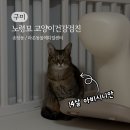 라온메디칼 | 구미 고양이건강검진 노령묘 건강관리 라온동물메디컬센터