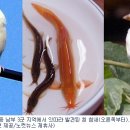 길운