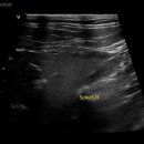 24시 위너스동물의료센터 이미지