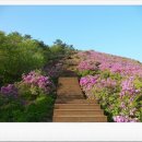 한빛렌트카 이미지