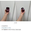 2024 연말결산 또산템