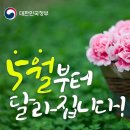 보람유 | 초록을거머쥔우리는여름으로!
