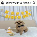 간식세끼 | 강아지 생일케이크 맞춤제작 내돈대산 후기 간식세끼