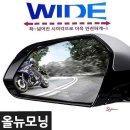 미러리스트
