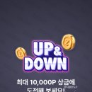 포인 이미지