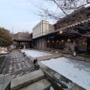 비발디 향기나무 이미지