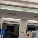 대명송어 이미지