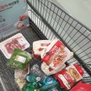 편백숲길 유하팬션 이미지